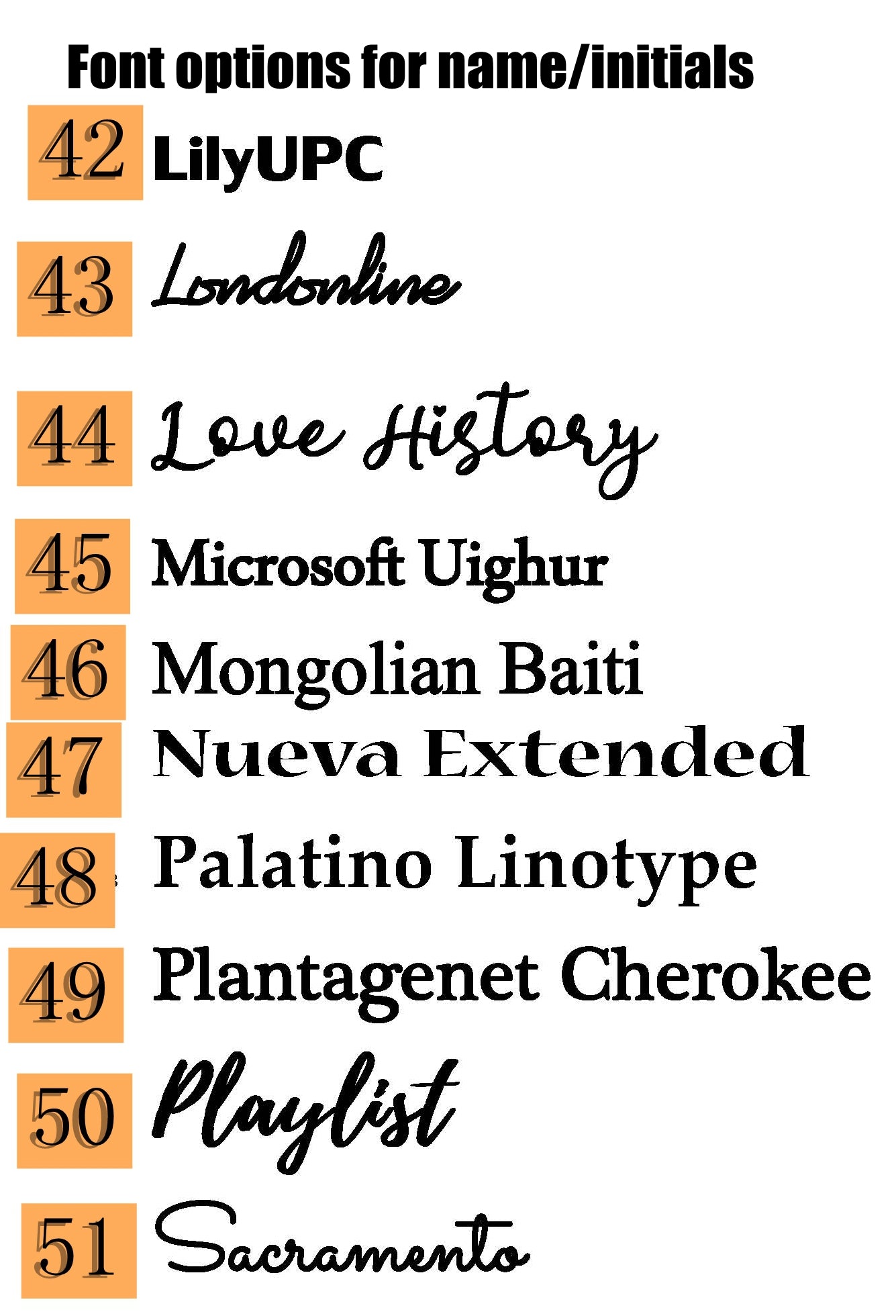 Custom name text logo  laser engraved 2025  32oz/40oz SL